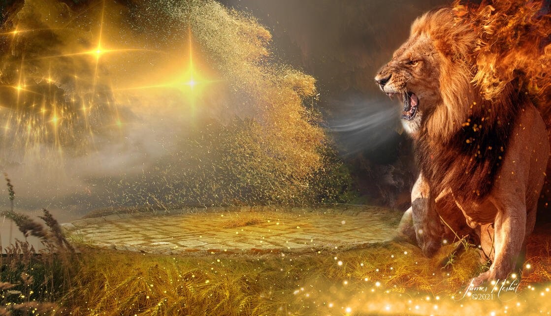 Lion Face 01