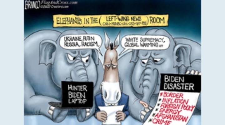 Biden Elephant