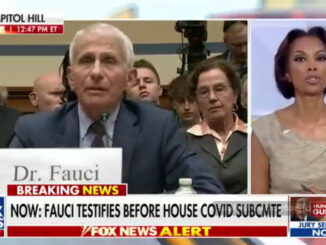 Lisa Boothe eviscerates Fauci You are a liar and a terrible person YouTube
