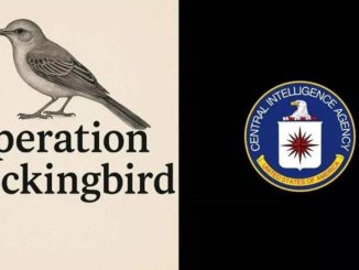 Operation Mockingbird