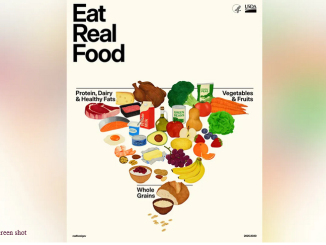 HHS New Food Pyramid