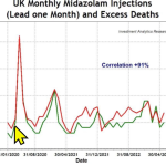 Dr John Campbell shows Covid deaths closely match the use of Euthanasia drugs