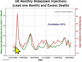 Dr John Campbell shows Covid deaths closely match the use of Euthanasia drugs