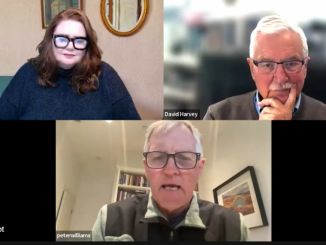 Maree Buscke with Peter Williams & David Harvey discuss MMP and strategic voting